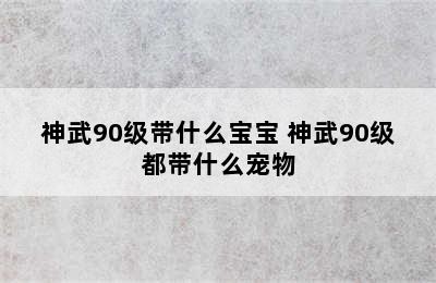 神武90级带什么宝宝 神武90级都带什么宠物